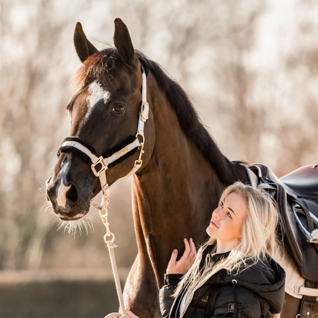 Cavallo Luciele Limited Edition Fleece Lined Halter