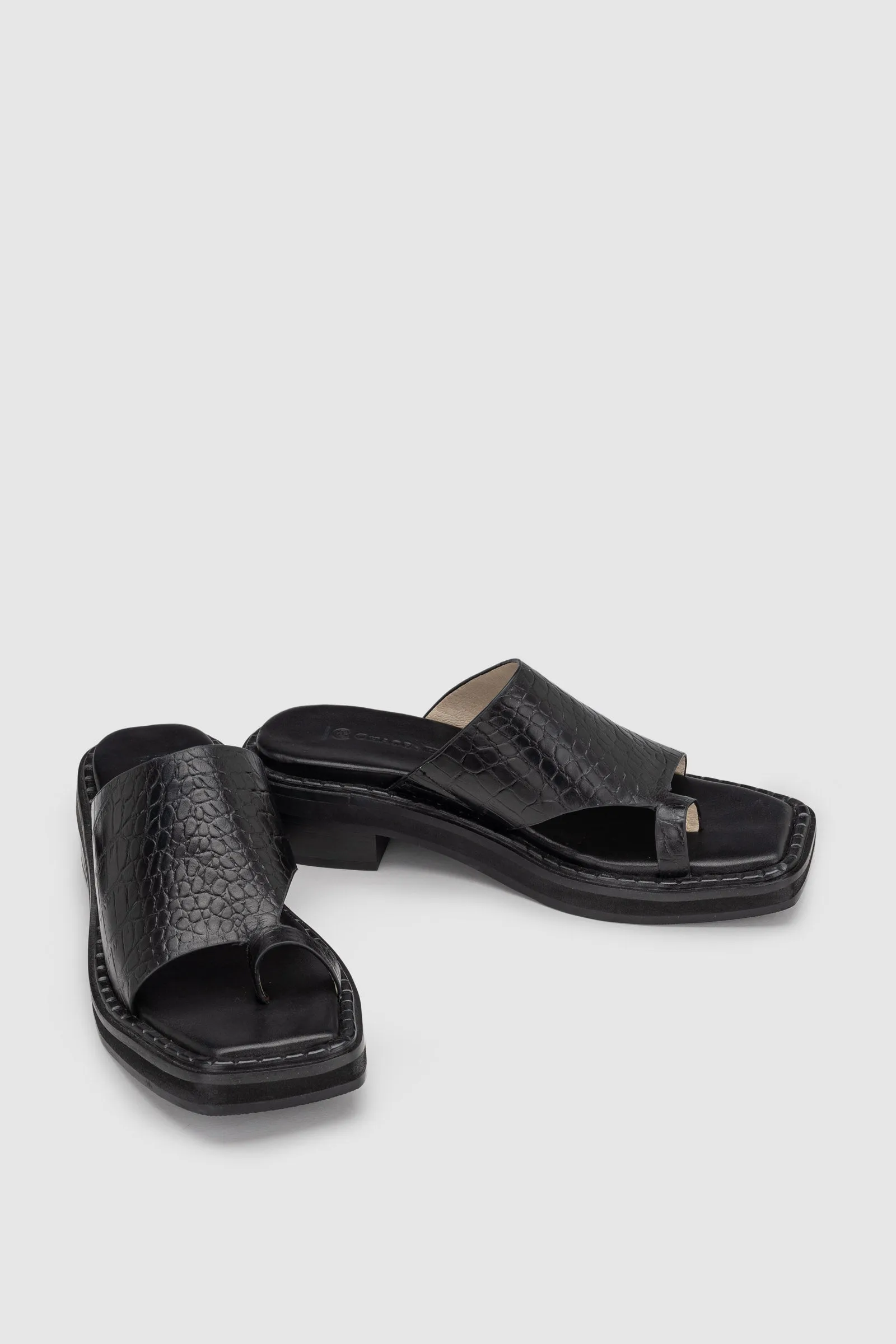 Chaos & Harmony - Augustus Slide, Black Croc