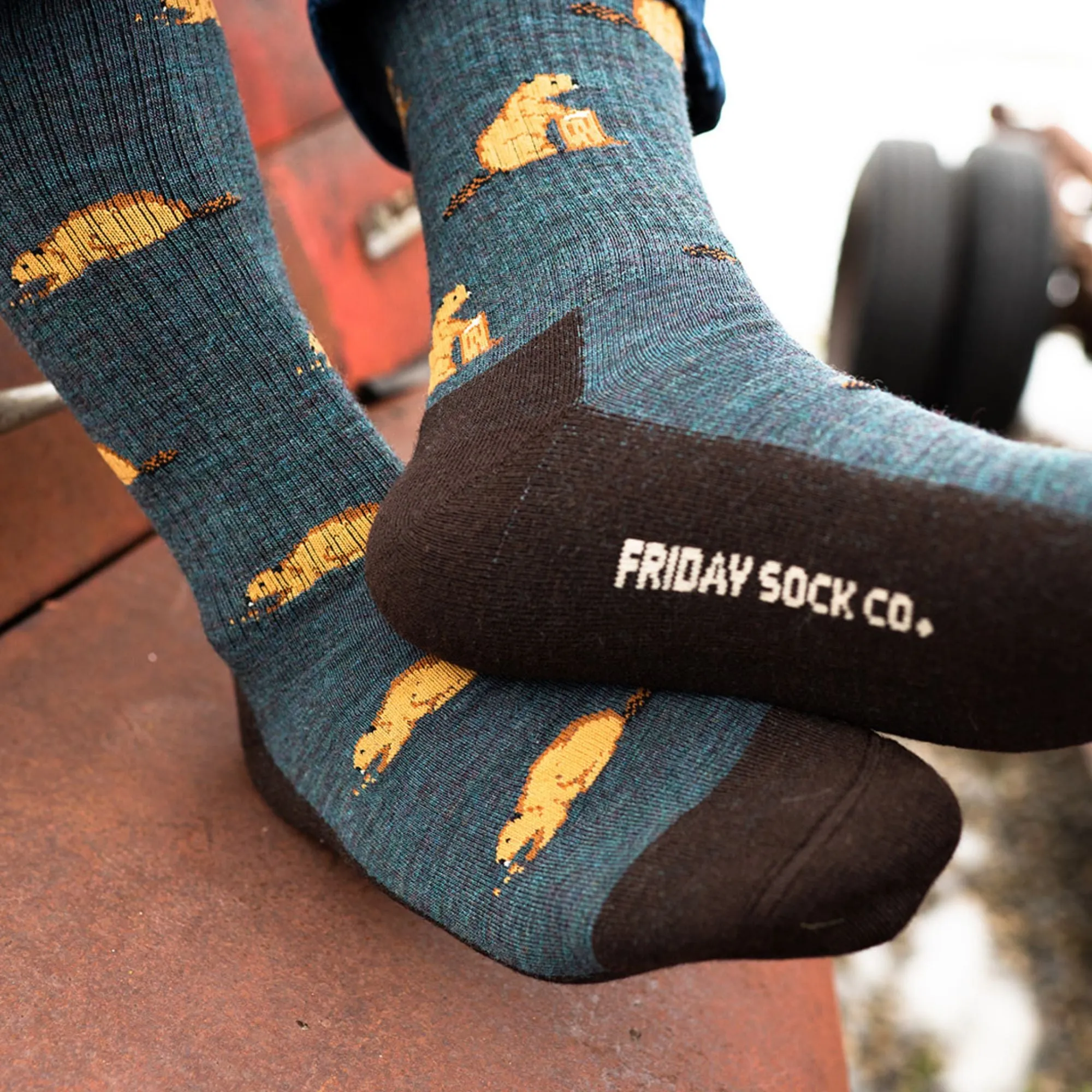 Men's Beaver Merino Wool Socks